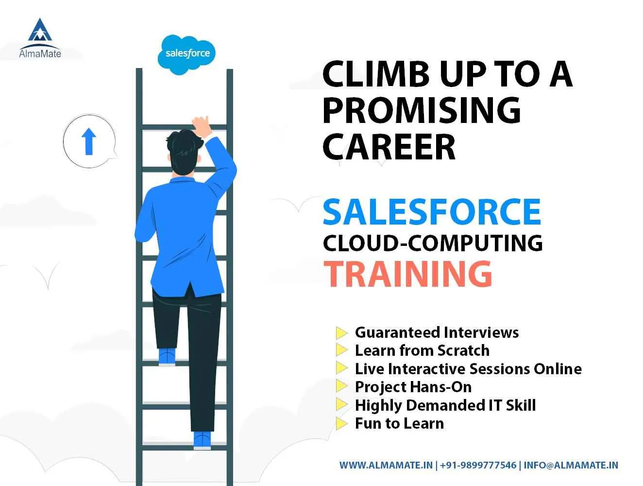 AlmaMate Info Tech - Salesforce Training