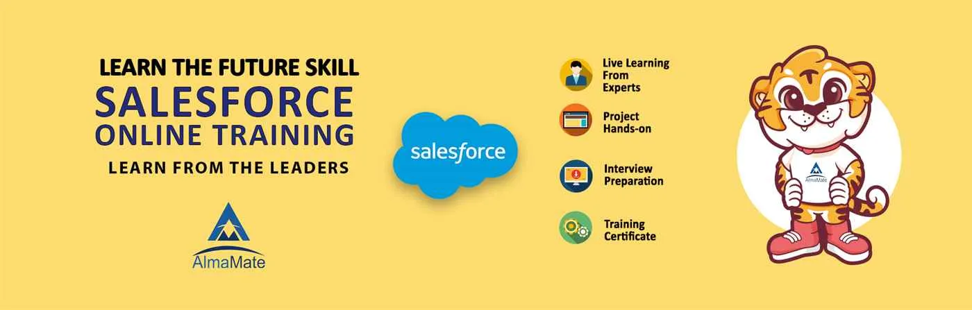 AlmaMate Info Tech - Salesforce Training