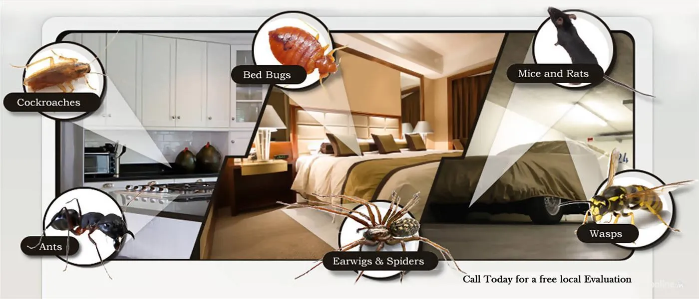 Hi-Tech Pest Control Services Hi-Tech Pest Control Services