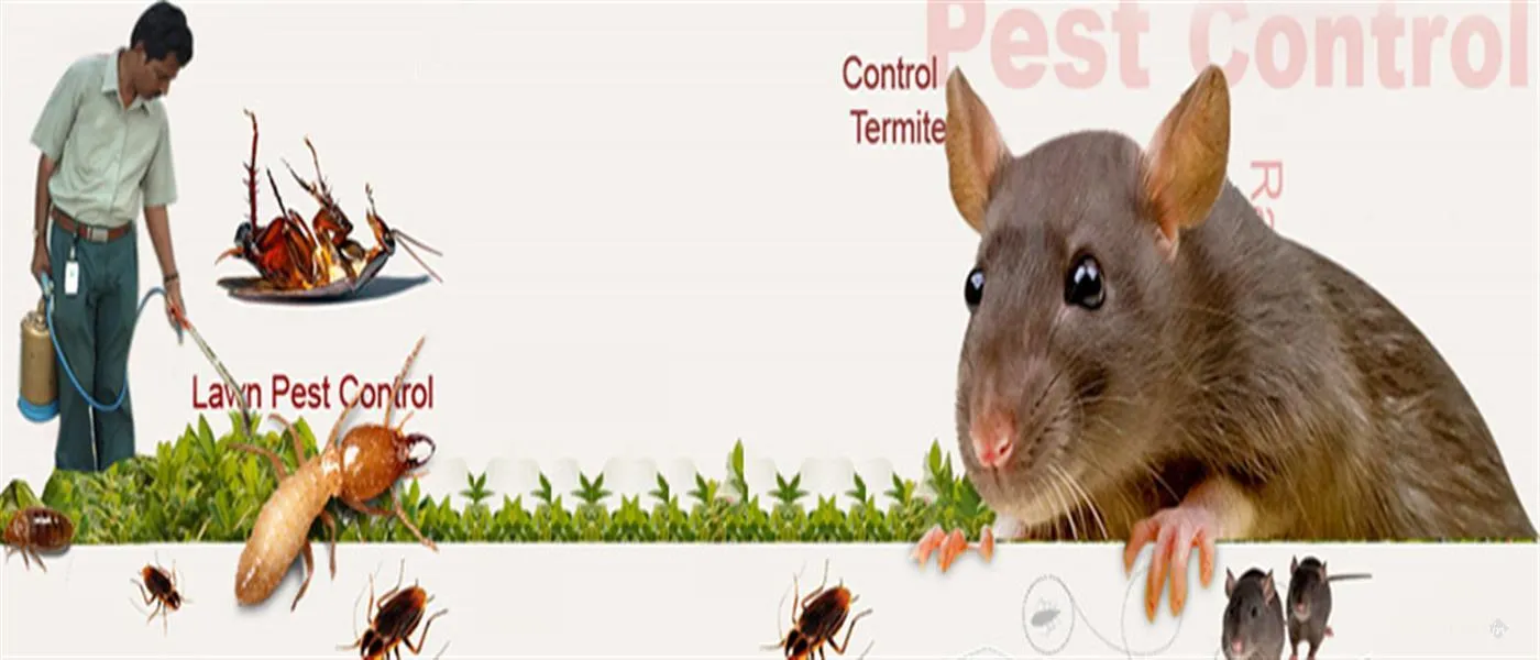 Hi-Tech Pest Control Services