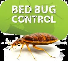 Hi-Tech Pest Control Services