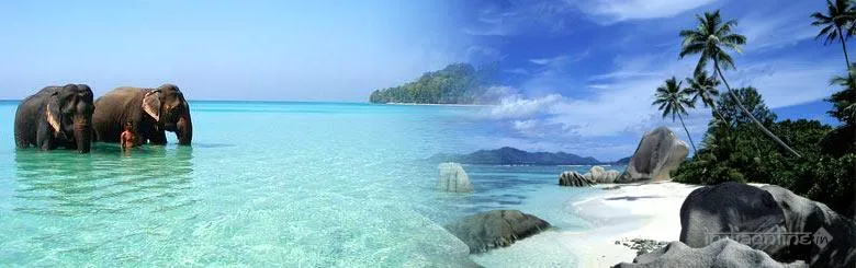 Travelling Solutions