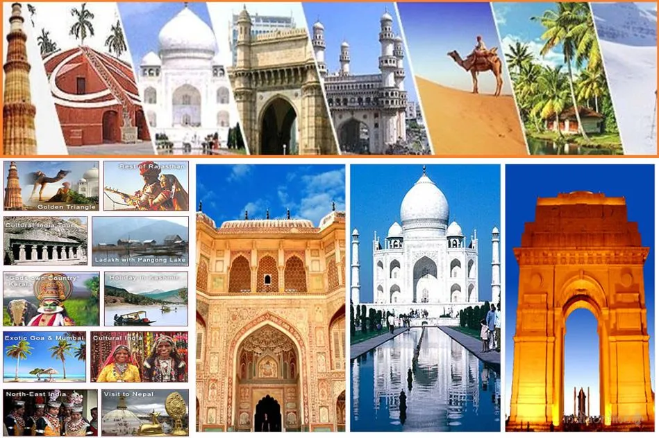 Shree Sai Tours & Travels Shree Sai Tours & Travels