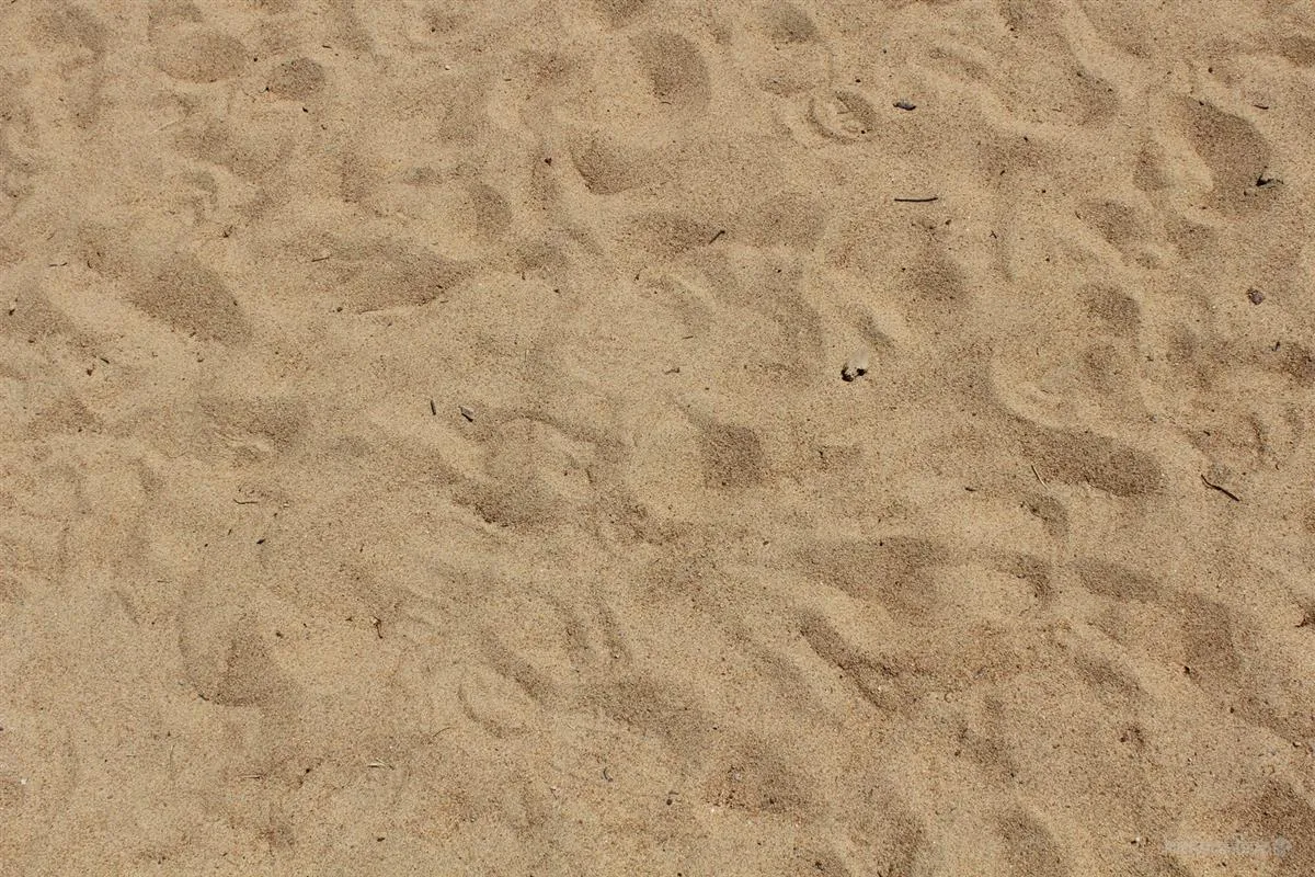 Chobdar Constructions