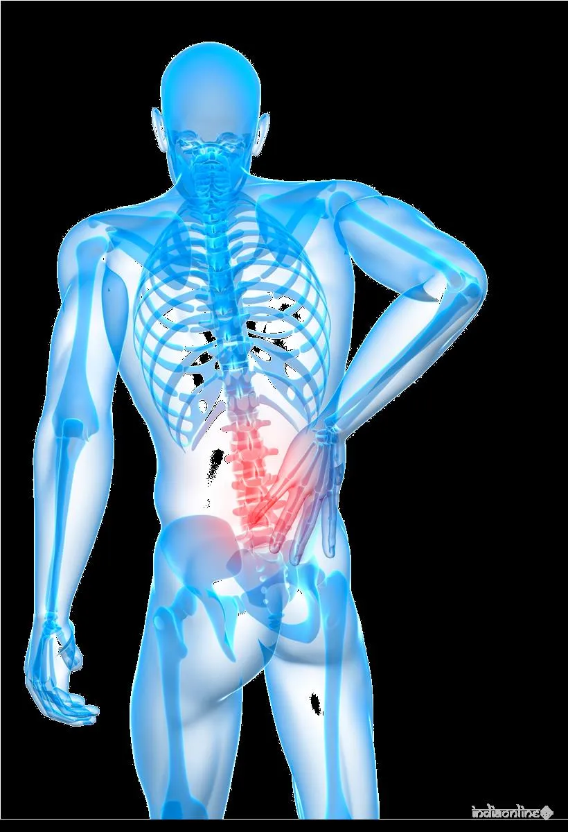 Kino Physio Kino Physio