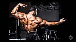 Vikash Gym Vikash Gym