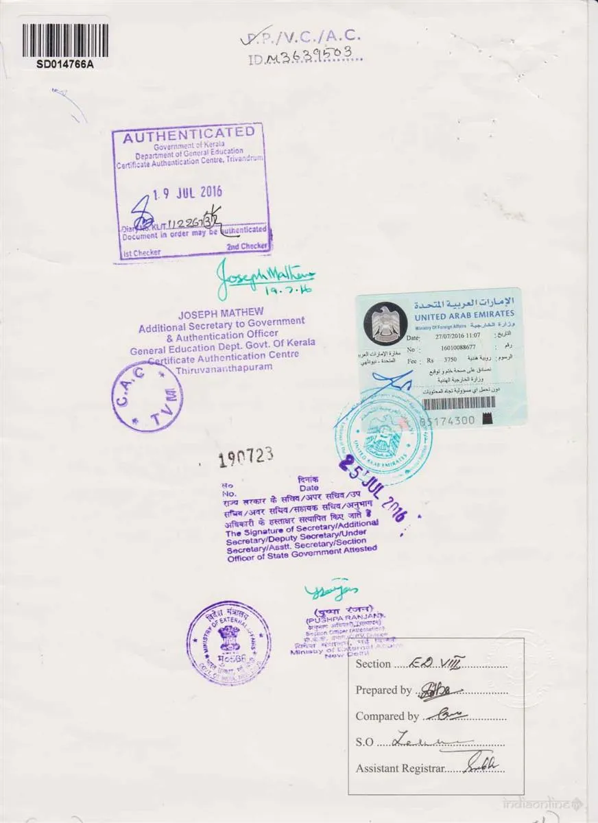 Y Square Attestation Services