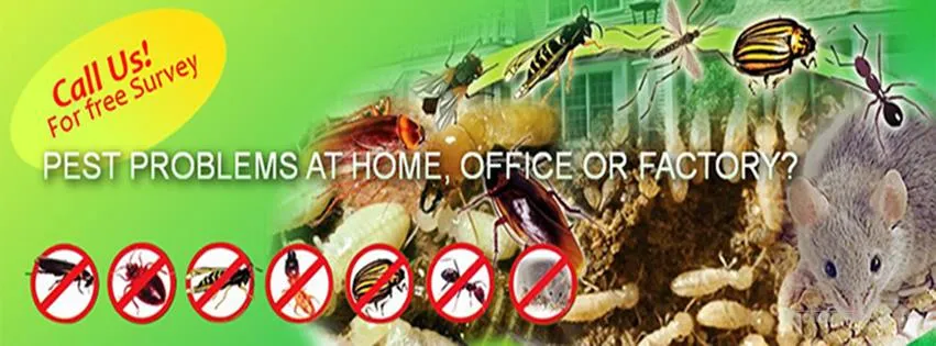 Safe Care Pest Control Safe Care Pest Control