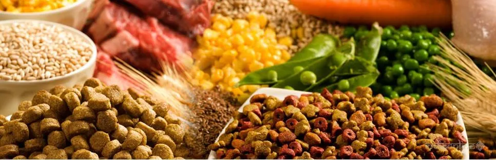 Hotel Vaishali Hotel Vaishali