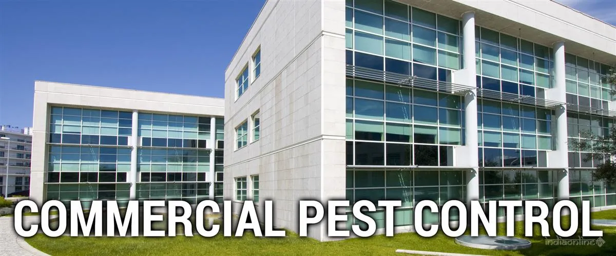 Pest Control Professionals