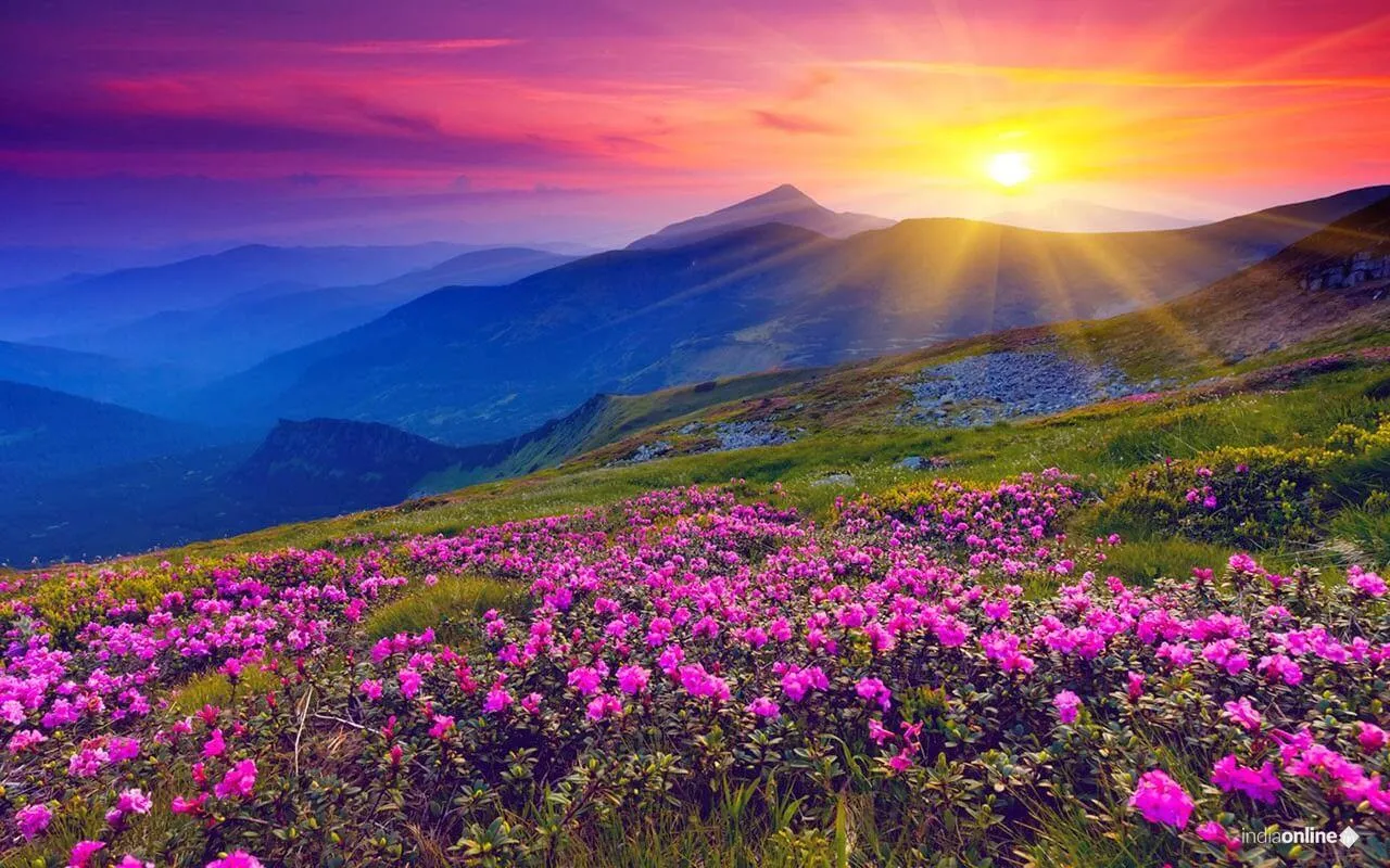 Narayani Enterprises