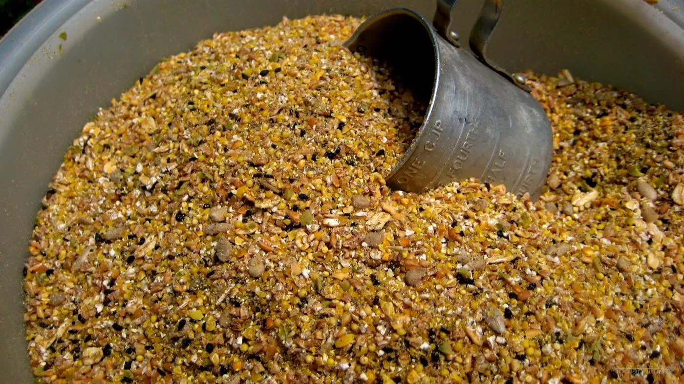 Jayram Feed & Chicks Centre Jayram Feed & Chicks Centre