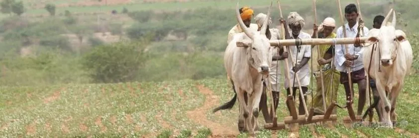 JioGram India JioGram India