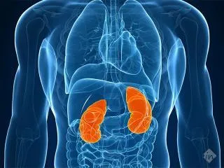 Trulife Diagnostics Trulife Diagnostics