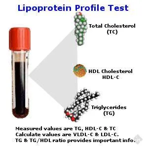 Trulife Diagnostics Trulife Diagnostics