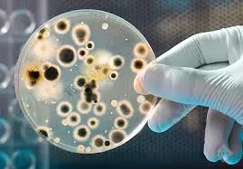 Trulife Diagnostics Trulife Diagnostics