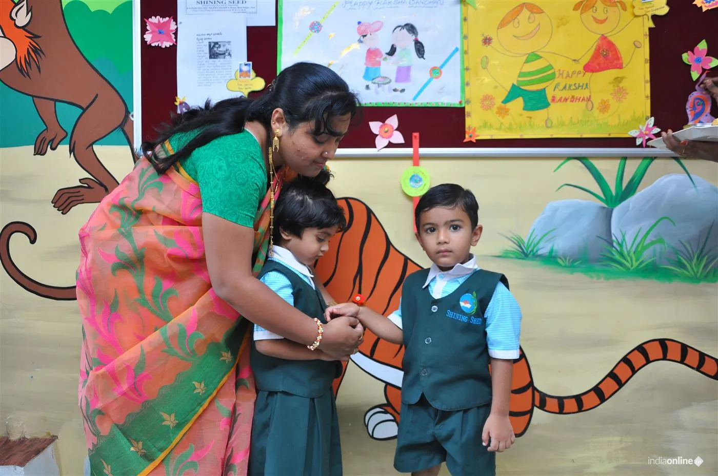 Shining Seed Shining Seed