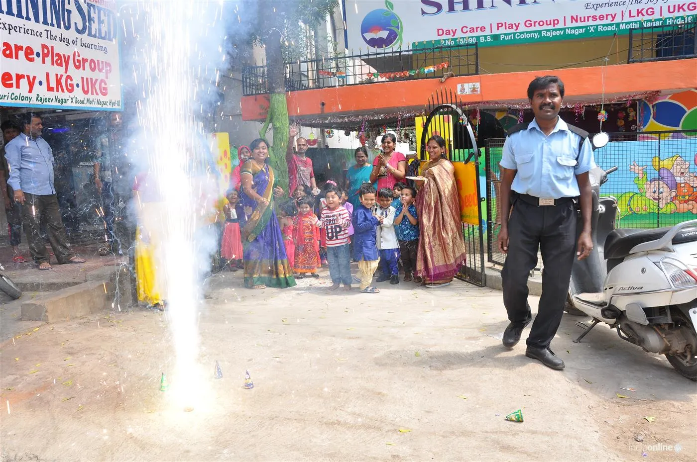 Shining Seed Shining Seed