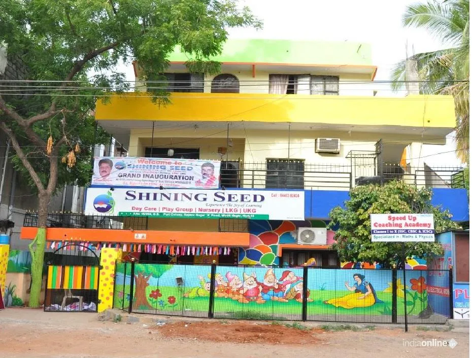 Shining Seed Shining Seed