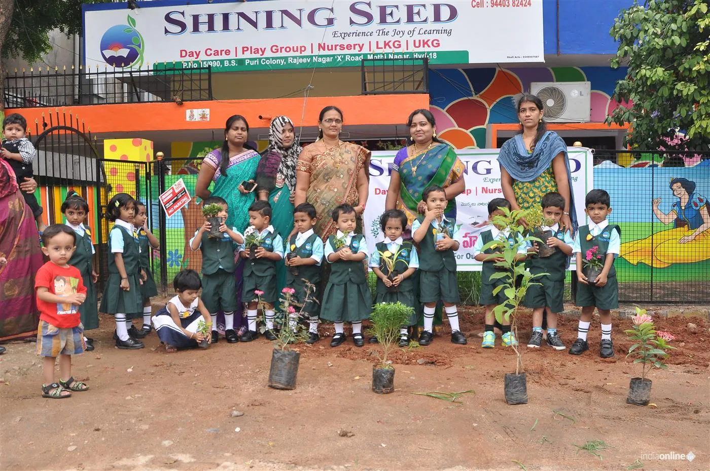 Shining Seed Shining Seed