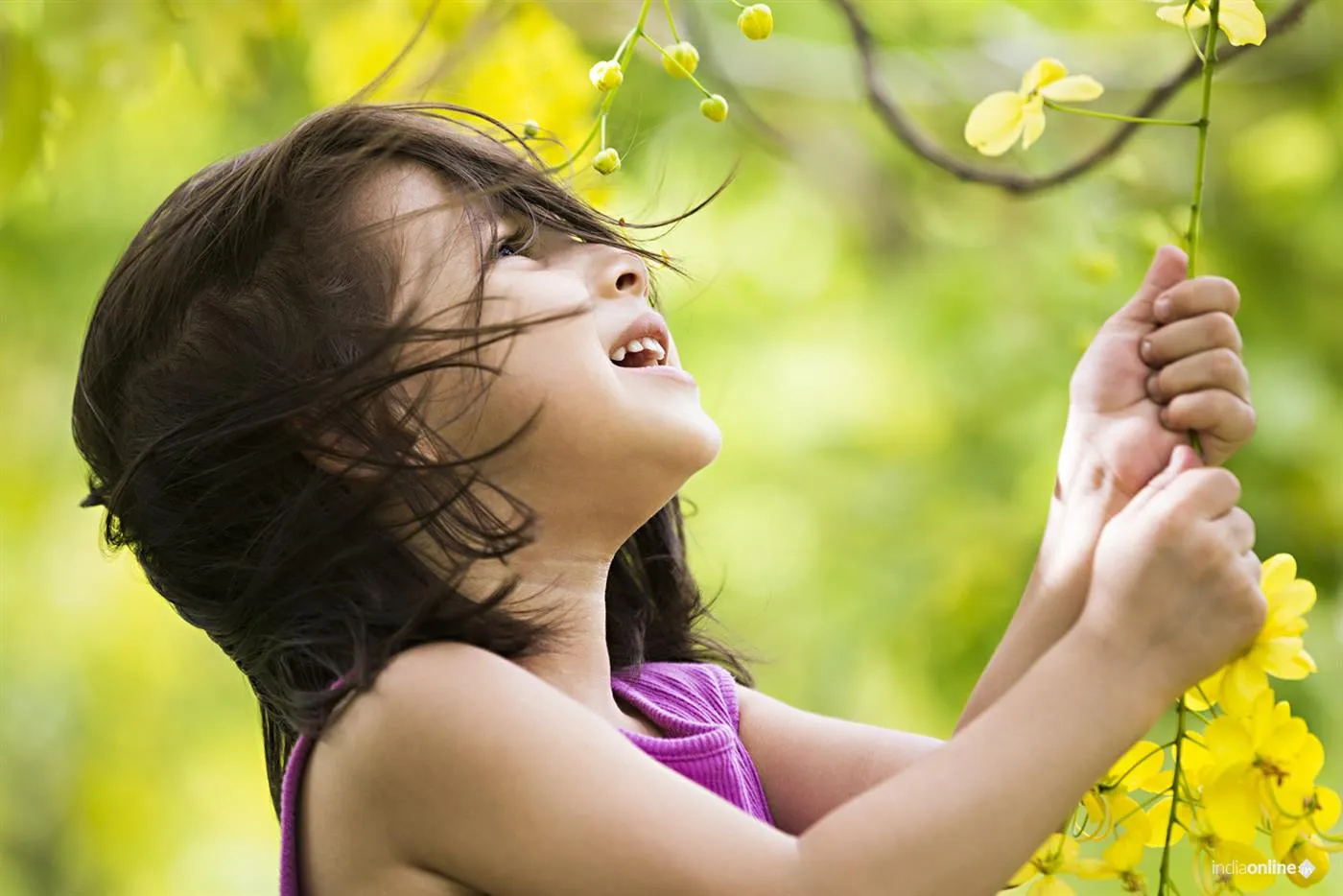 Orion Realtors Orion Realtors