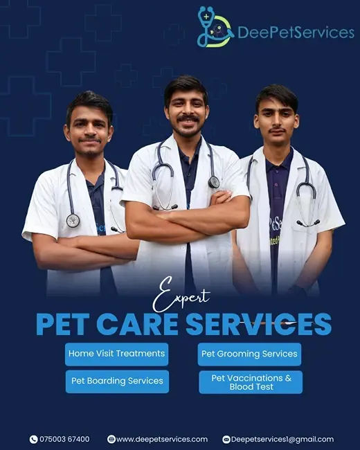 Deepetservices