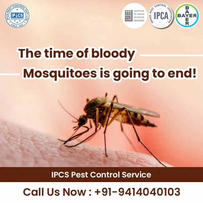 Our Facilities Our Facilities