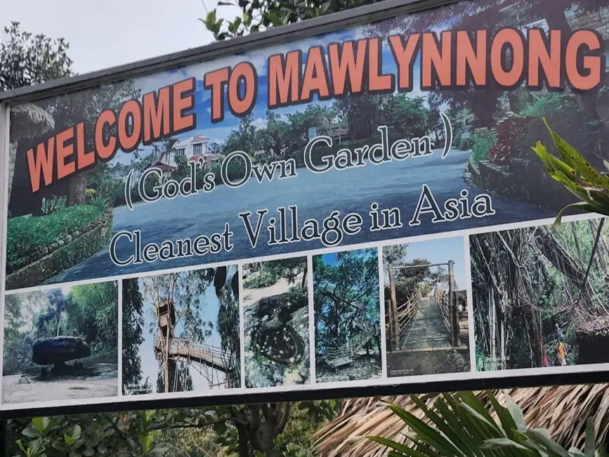 Kaziranga Voyage, The best Tours & Travel Agency in Assam Kaziranga Voyage, The best Tours & Travel Agency in Assam