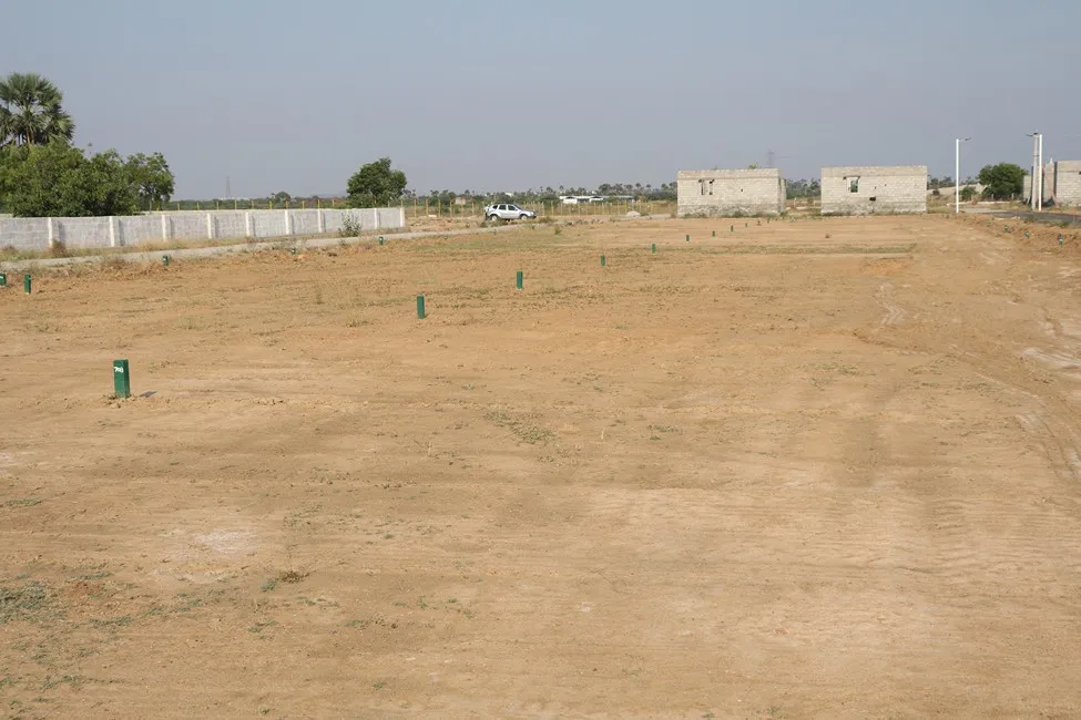 Our Ongoing Projects