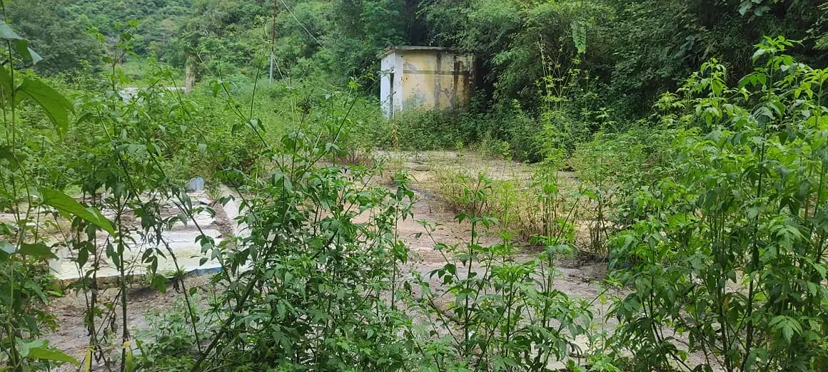 Exterior View Exterior View