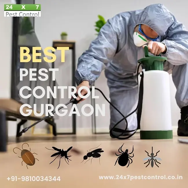 24x7 Pest Control Gurgaon