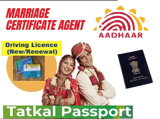 A To Z Driving Licence Solutions