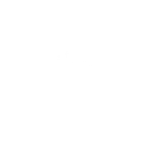 RIC Packers and Movers