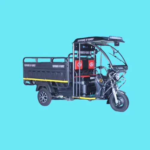 Ronak Auto E Cart