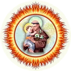 Saint Francis Evolution Saint Francis Evolution