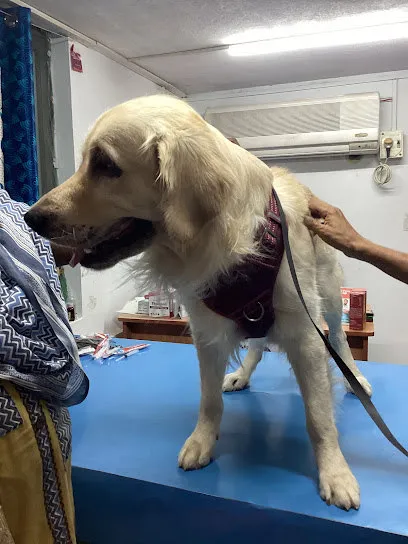 We Care Multi-specialty Pet Clinic We Care Multi-specialty Pet Clinic