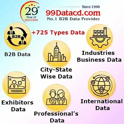B2B Data Provider