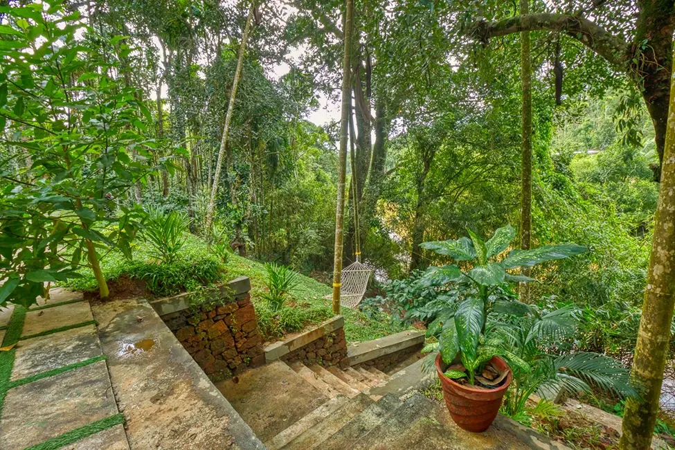 Exterior View Exterior View