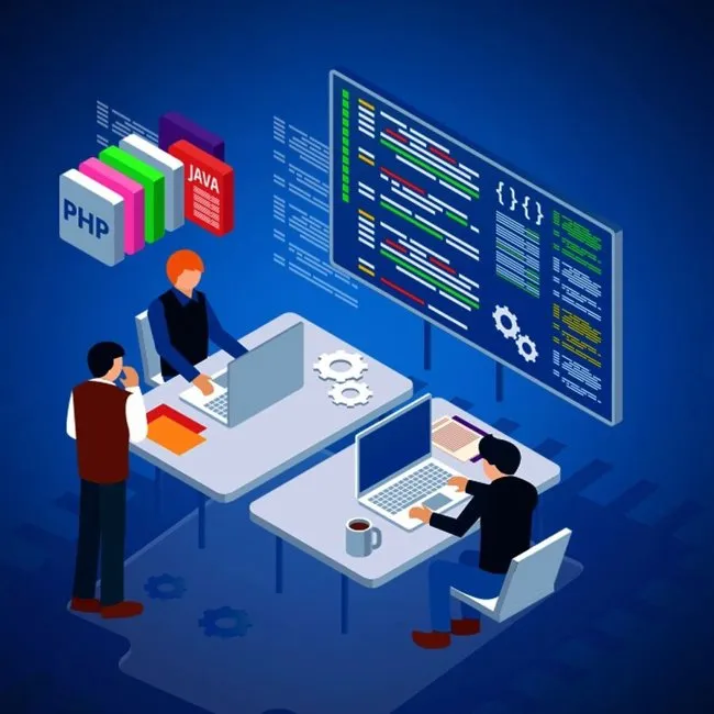 Website Design Website Design