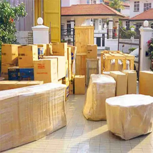 Noida Transport Noida Transport