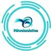 Pmwebsolution