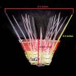 Pigeon Control Services