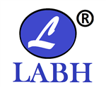 Labh Software & Solutions
