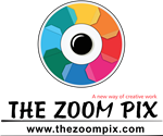 The Zoom Pix 