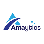 Amaytics Digital Services Pvt Ltd
