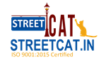 Streetcat Streetcat