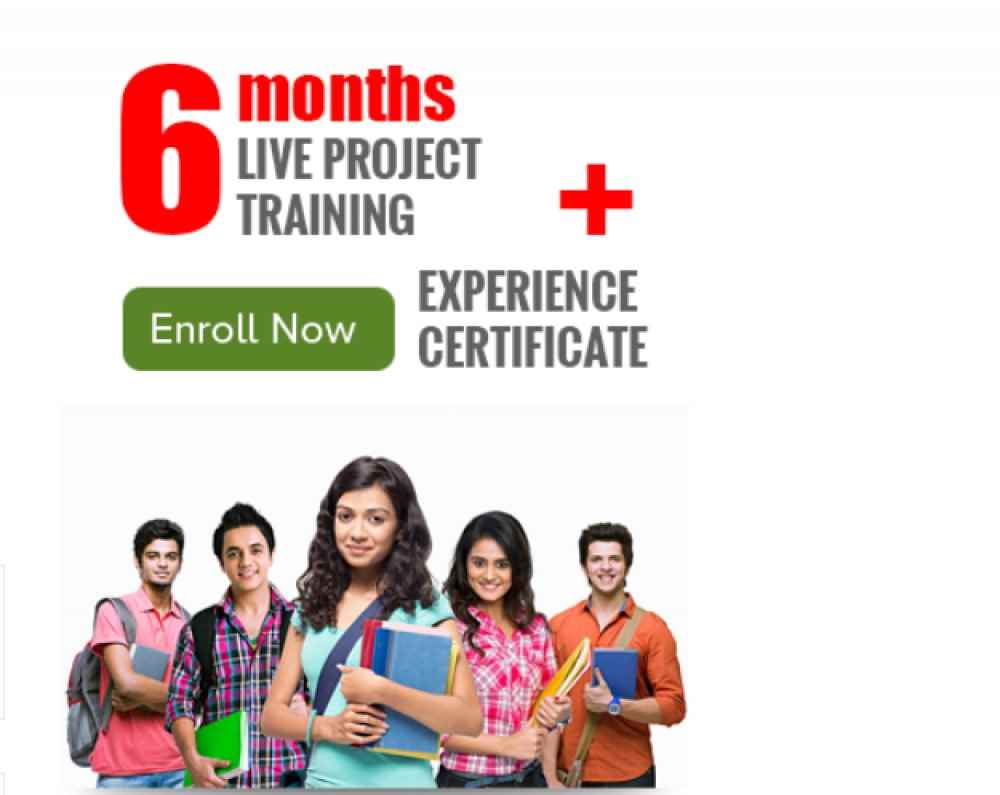 Web Designing Training Web Designing Training