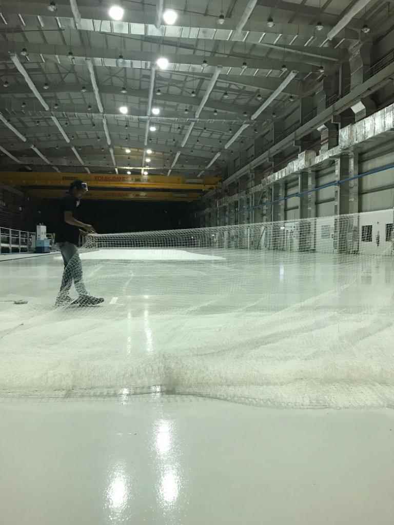 Pigeon Control Services