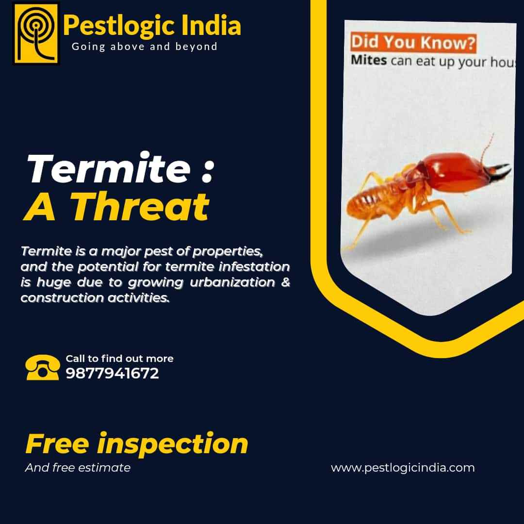 Anti Termite Treatment Anti Termite Treatment