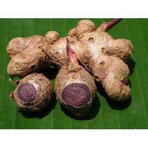 Black Dry Ginger Black Dry Ginger